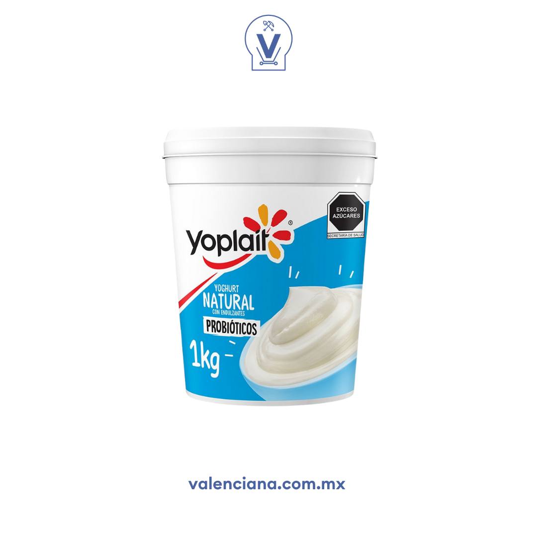 Yoghurt Natural Yoplait 1 lt