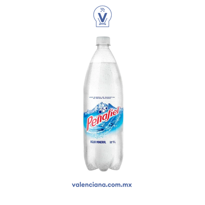 Agua Mineral Peñafiel 12 Piezas de 1 lt