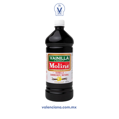 Vainilla Molina 1 lt