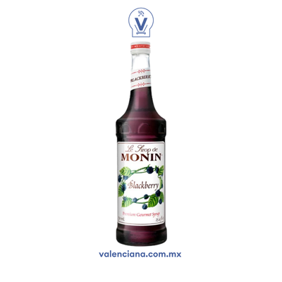 Jarabe de Zarzamora Monin 750 ml