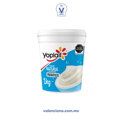 Yoghurt Natural Yoplait 1 lt