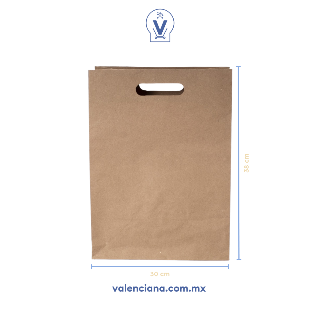 Bolsa de Papel con Asa Paquete con 100 Piezas