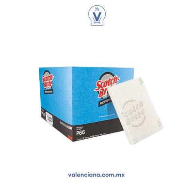 Fibra Blanca Scotch Brite P66