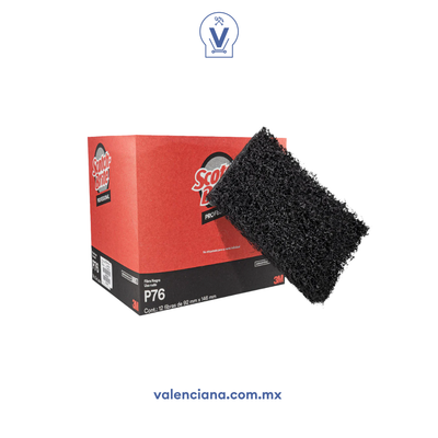 Fibra Negra Scotch Brite P76