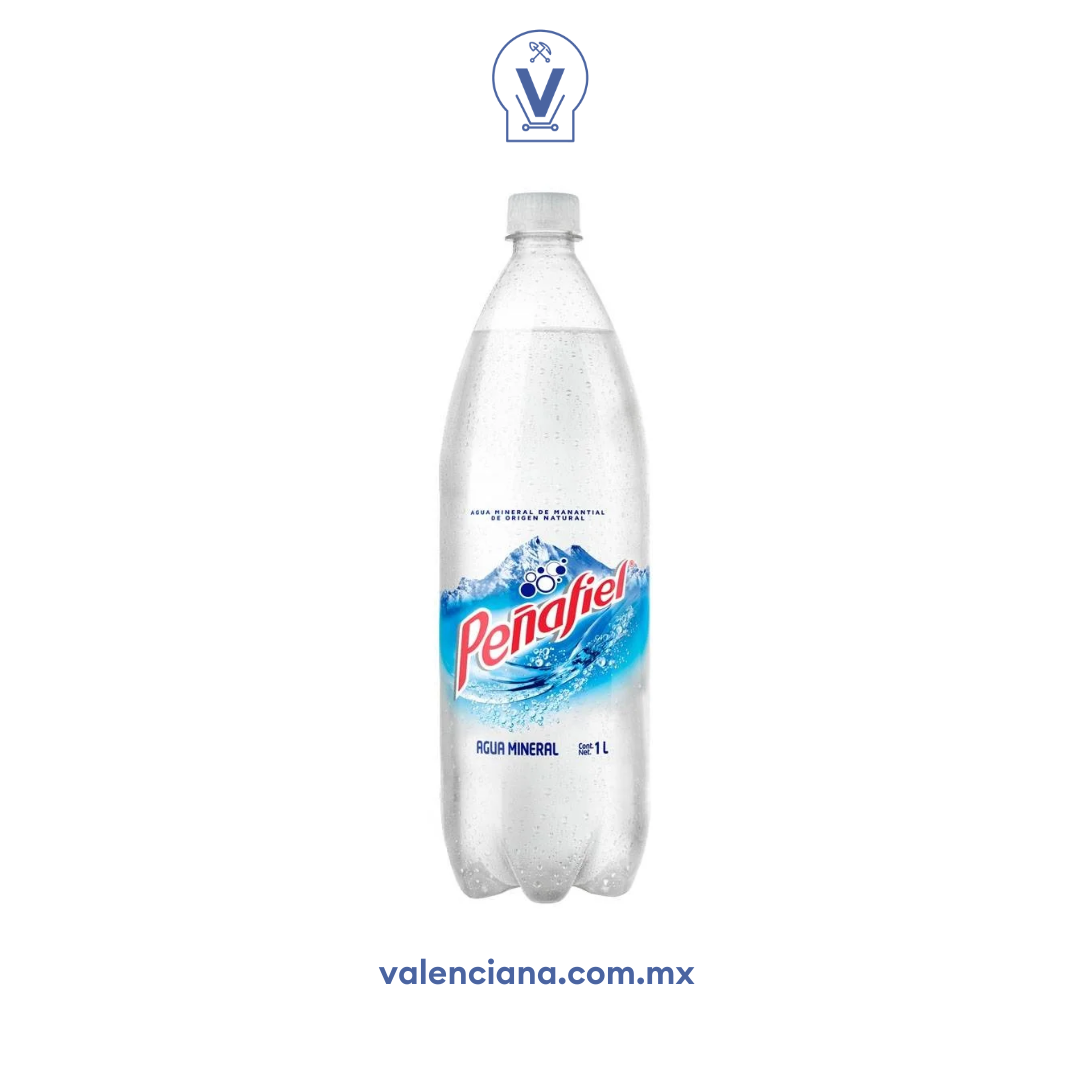 Agua Mineral Peñafiel 12 Piezas de 1 lt